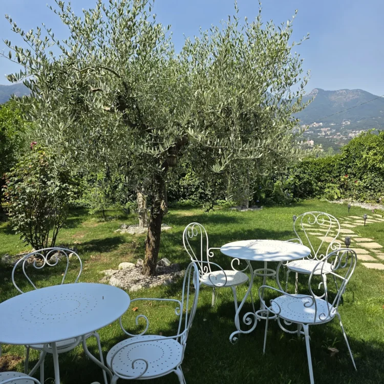 Oil Tasting Experience